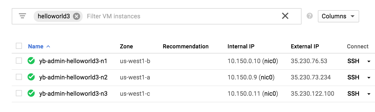 Primary Cluster Instances